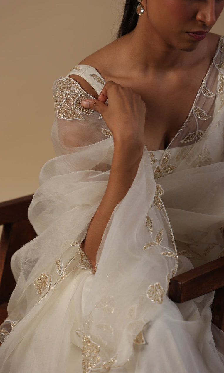 Alaya Saree with Hand Embellished Blouse - ILMA