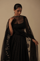 Aasmi Lehanga Set - ILMA