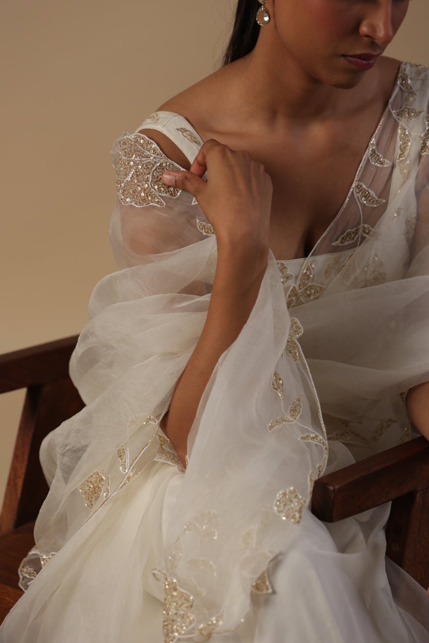 Alaya Saree with Hand Embellished Blouse - ILMA