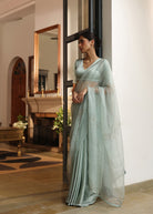Ishani Saree with Hand Embellished Blouse - ILMA