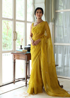 Nirvi Saree with Hand Embellished Blouse - ILMA