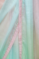 RANGINI Saree with Hand Embellished Blouse - ILMA