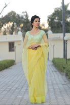 Sequins Border Saree with Contrast Blouse - ILMA