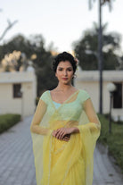 Sequins Border Saree with Contrast Blouse - ILMA