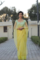 Sequins Border Saree with Contrast Blouse - ILMA