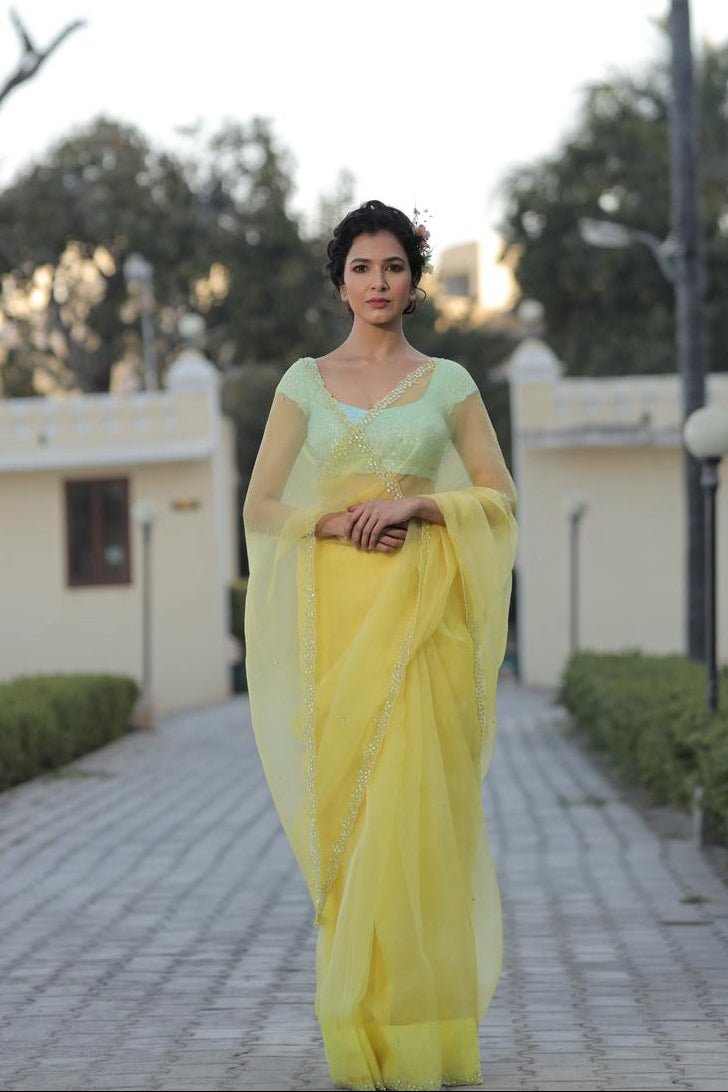 Sequins Border Saree with Contrast Blouse - ILMA