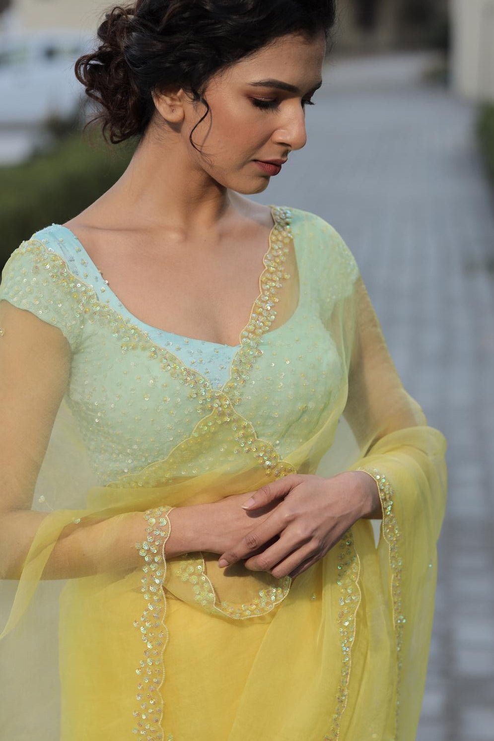 Sequins Border Saree with Contrast Blouse - ILMA