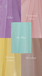 Sequins Border Saree with Striped Blouse - ILMA