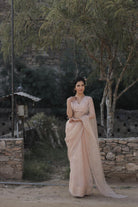 Sequins Border Saree with Striped Blouse - ILMA