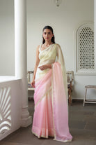 SUHANI Saree with Hand Embellished Blouse - ILMA